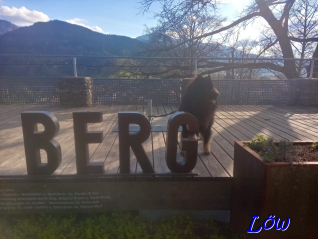 19.4.2025 - Kulturfolger